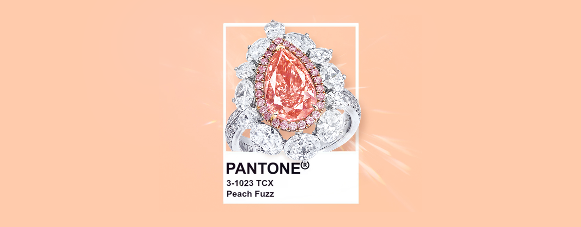 Pantone 2024 年度代表色揭曉！