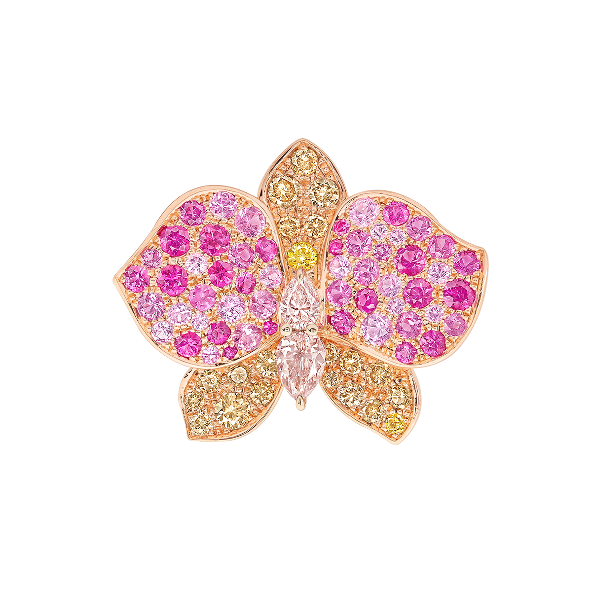 彩鑽蝴蝶蘭花戒
Multi-Colored Diamond 
Moth Orchid Ring